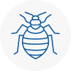 Bed Bug Extermination In East Retford