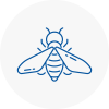 Bee Nest Removal East Retford