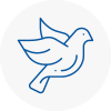 Bird Prevention East Retford
