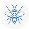 East Retford Hornet Nest Removals