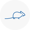 Mice Exterminators In East Retford