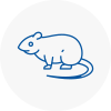 Rat Control East Retford
