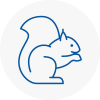 East Retford Rodent Removals