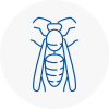 East Retford Wasp Nest Removal